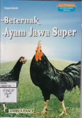 BETERNAK AYAM JAWA SUPER