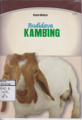 BUDIDAYA KAMBING