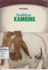 BUDIDAYA KAMBING