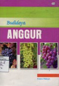 BUDIDAYA ANGGUR