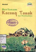 BERTANAM KACANG TANAH DAN MANFAATNYA
